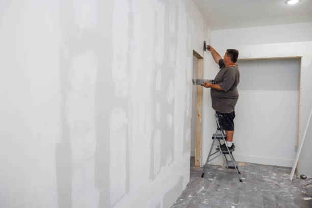 Best Mold Damage Restoration  in Belmont, MS